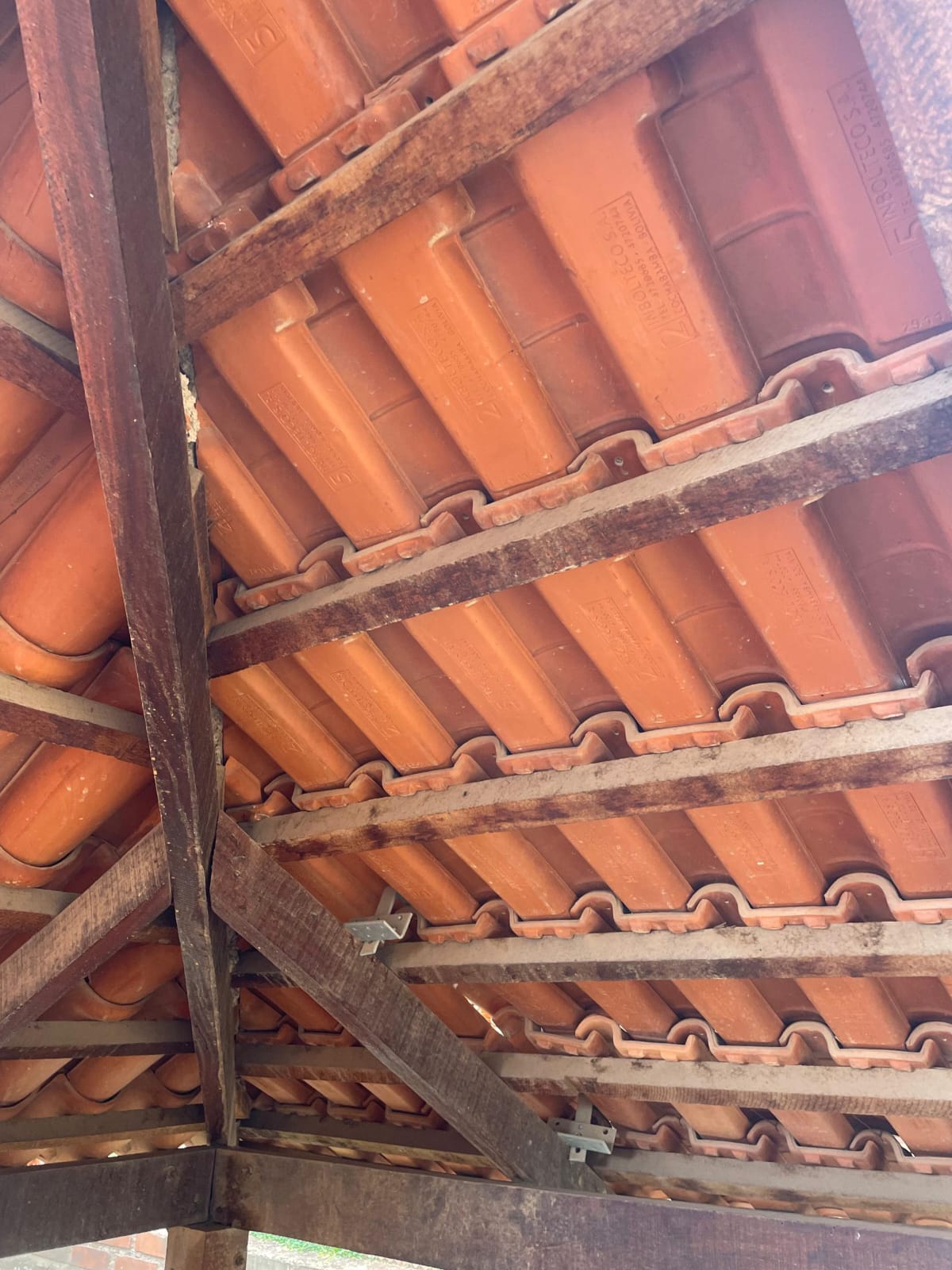 Proyecto Techumbres Depassier